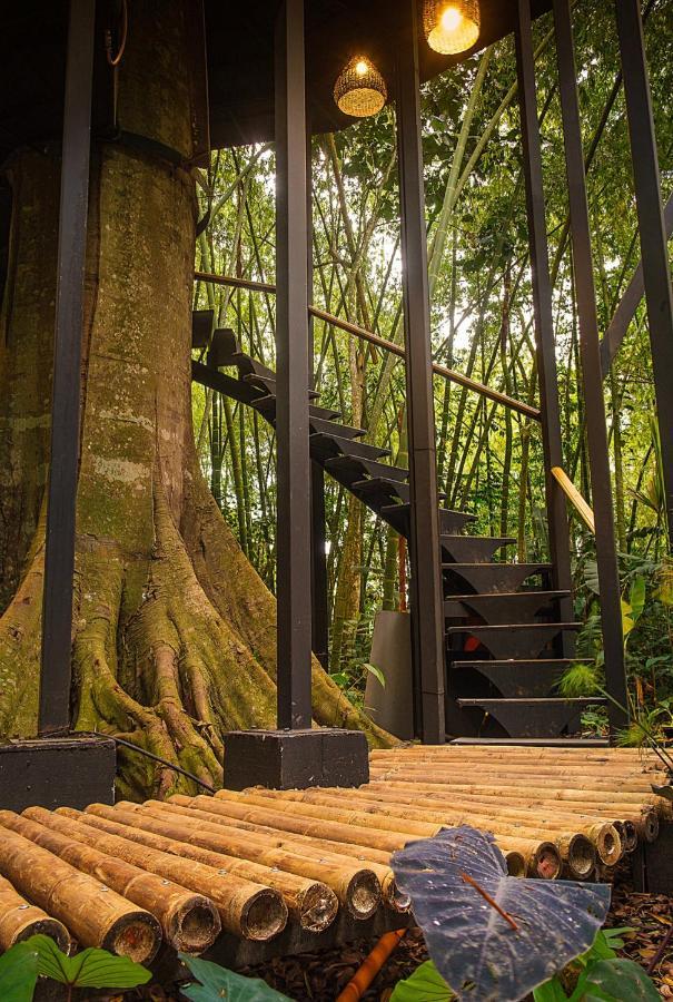 Amanatu Ecolodge & Spa Quimbaya Buitenkant foto