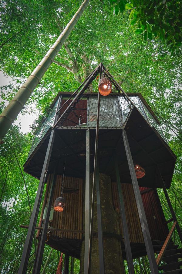 Amanatu Ecolodge & Spa Quimbaya Buitenkant foto